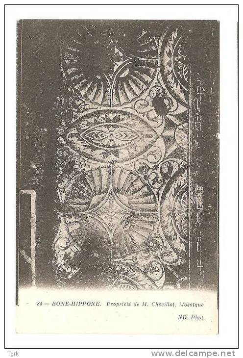 BONE HIPPONE       mosaïque propriété de M.CHEVILLOT     bône