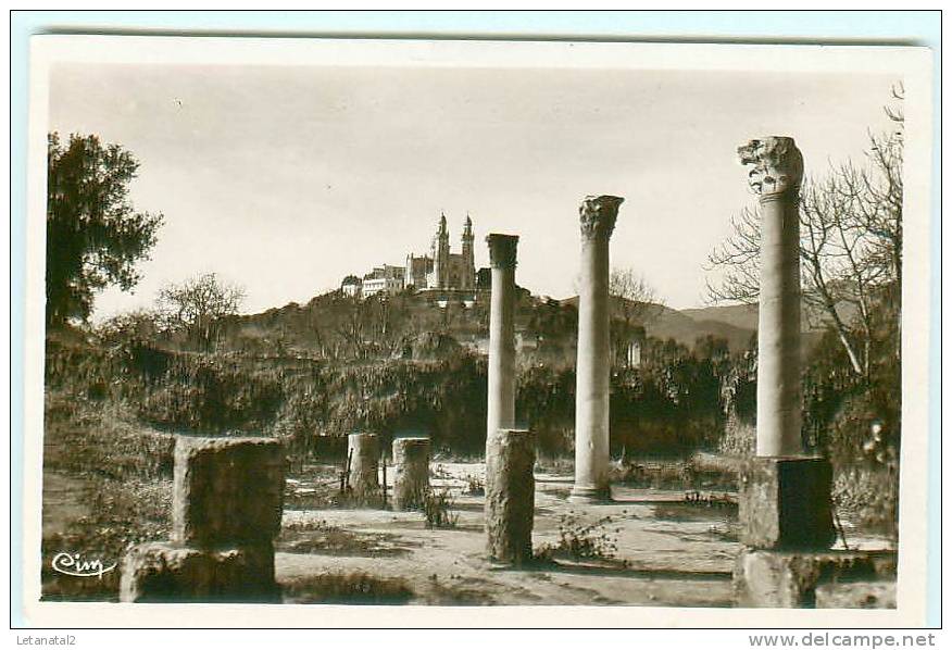 BONE / Annaba / Ruines d' Hippone
