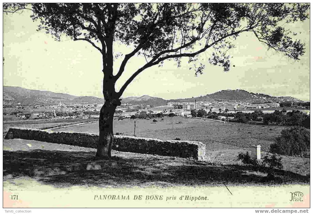 PANORAMA DE BÔNE pris d'Hippône