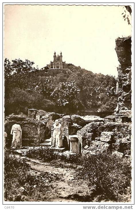 BONE - Les ruines et la Cathédrale d'Hippone