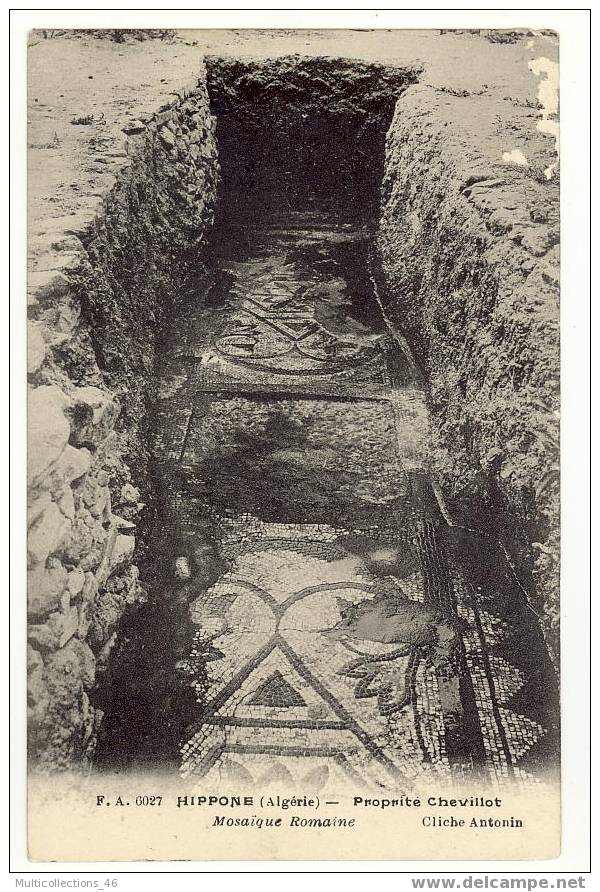 ALGERIE - HIPPONE - Proprité Chevillot - Mosaïque Romaine.
