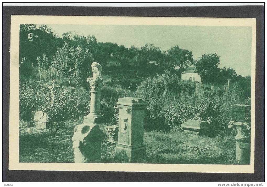 ALGERIE    Hippone   Musée