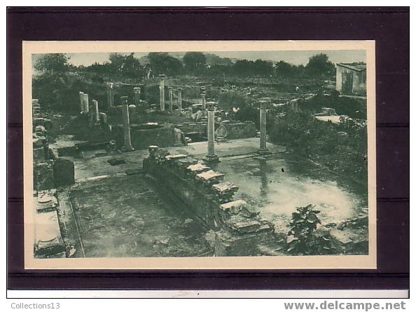 ALGERIE - Hippone - ruines de villas romaines et mosaique de la Chasse