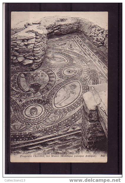 ALGERIE - Bone Hippone - proprieté Chevillot, les Muses