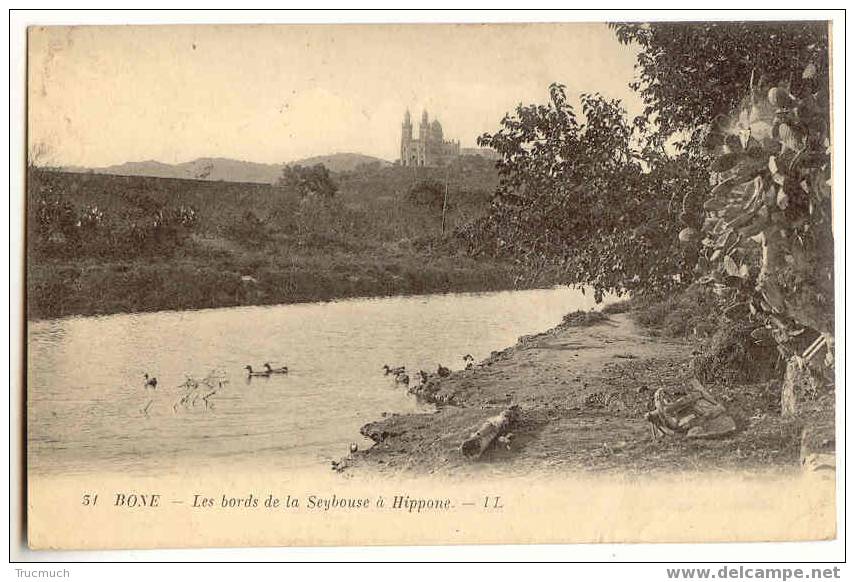 B 469 - BONE - Les Bords de la Seybouse à Hippone