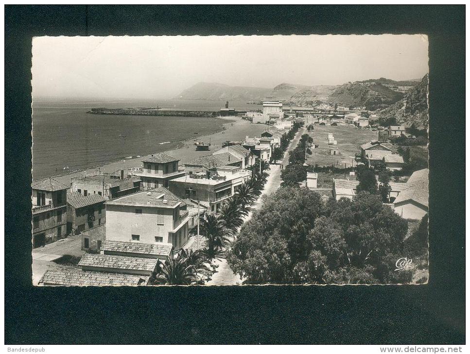 CPSM - Algérie - BENI SAF  - Vue générale de la Plage ( CAP)