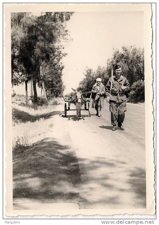 PHOTO ALGERIE  AIN TEMOUCHENT SUR LA ROUTE DE  BENI SAF    RECTO VERSO