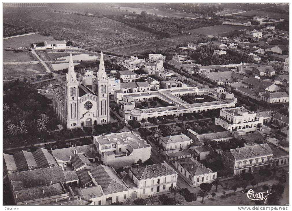 AFRIQUE,AFRICA,Algérie,ai n témouchent,oran,beni saf,photo aerienne combier et delvert,église,mosquée,sy nagogue