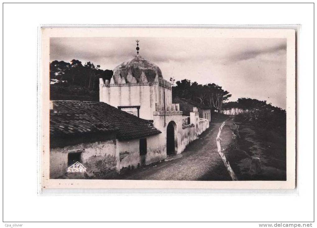 ALGERIE Beni Saf Marabout Sidi Boucif, ed EPA 11, CPSM 9x14, 195?