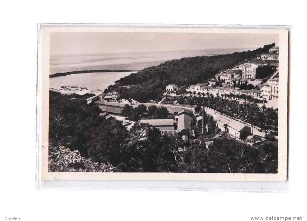 ALGERIE Beni Saf Vue Générale, Port, ed EPA 14, CPSM 9x14, 195?
