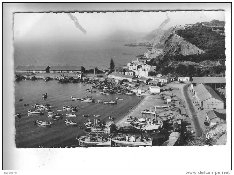 BENI-SAF  .- Le Port