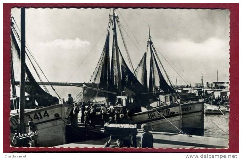 CPSM ALGERIE-  Oran Beni-Saf Le port - Déchargement du poisson - Bateau