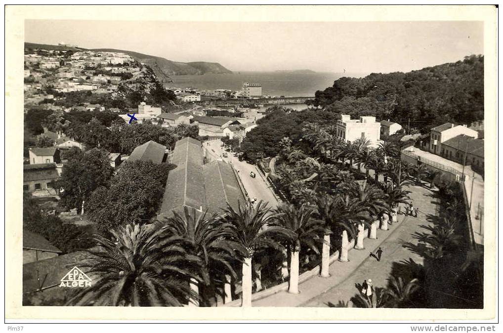 BENI SAF - Avenue du Port