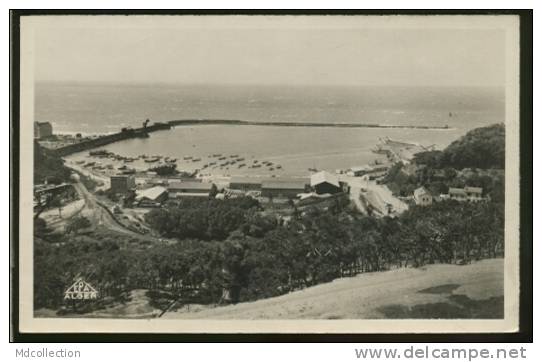 ALGERIE BENI SAF /        Vue générale du port     / CARTE GLACEE
