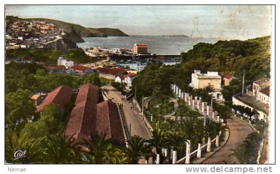 CPSM---  ALGERIE  ORAN  BENI-SAF  route du port -- C117