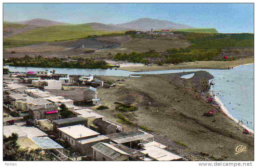 AFRIQUE. ALGERIE. BENI SAF. Vue Générale et L'Embouchure de La Tafna. Carte Dentelée.