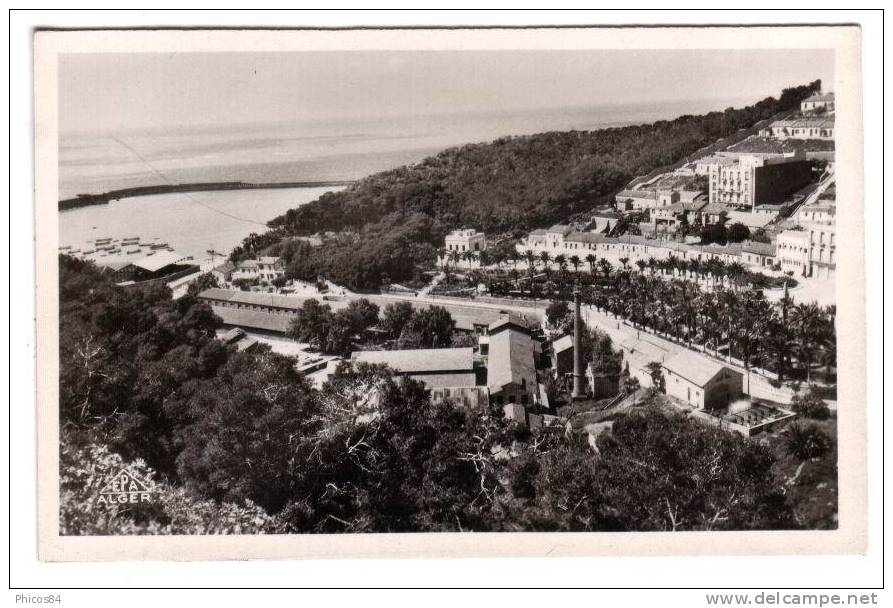 ALGERIE  BENI SAF  vue sur le port .............. 95-89