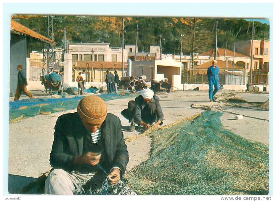 Pêcheur , réparation de filet / Beni - Saf / Port de pêche , Algérie