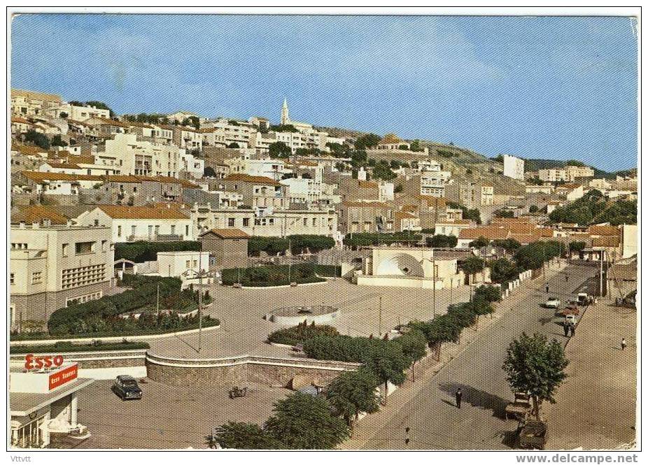 Beni-Saf (Algérie)  Place des Martyrs (Ex Jardin Public) Cultivée, 1974