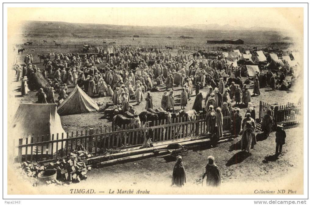 TIMGAD  le Marché Arabe