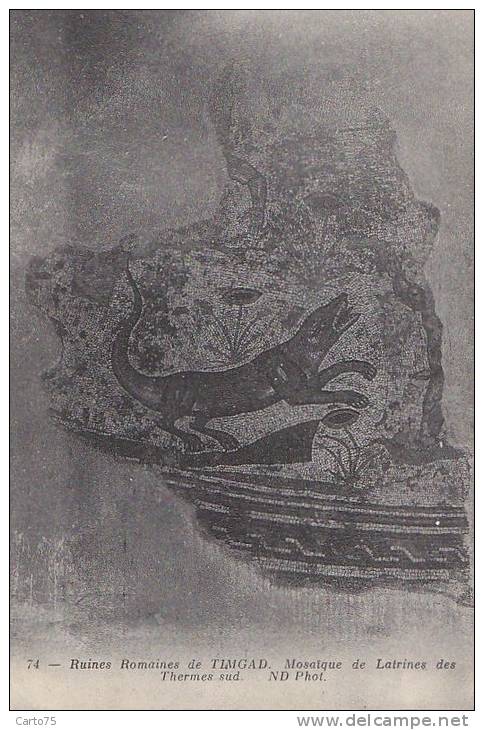 Histoire - Archéologie - Ruines Romaines - Timgad - Mosaique Latrines