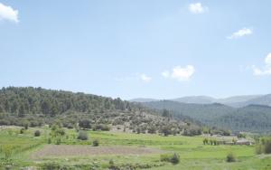 التدريبات تخفض دهون الكبد لدى مرضى البول السكري