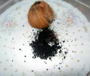 صور من الإعجاز العلمي لاستخدام المسك كمضاد حيوي