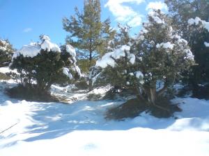 منظر من جبل شلية يابوس في فصل الشتاء