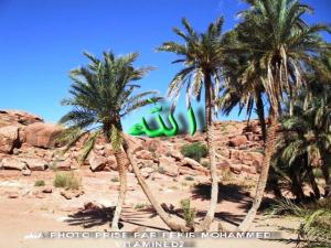 merveilles et magies deTIOUT