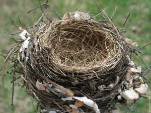 البناء الماهر