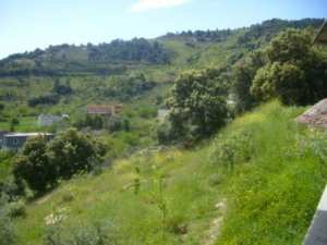 حمام الصالين بخنشلة