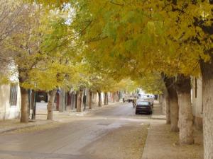 وسط مدينة خنشلة القديمة