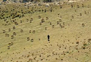 un berger avec son troupeau à foum tagharist  yabous