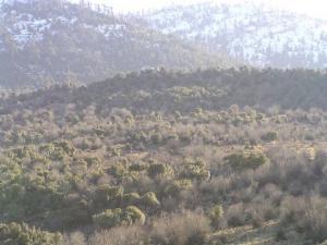 chélia à la saison d'hiver