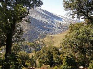 chélia à la saison d'hiver