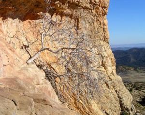 le sommet du mont de chélia