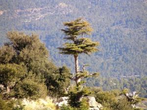 chélia très heureuse
