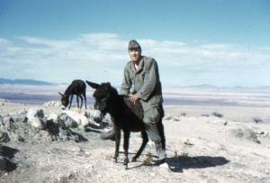 un soldat français qui s'amuse à monter un ^^ane