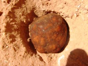 truffe noire de Tiout