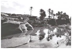 Tiout vue dans l'oasis