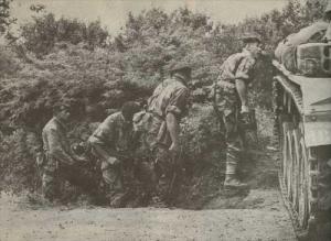 عملية عسكرية في جبال لاوراس شلية