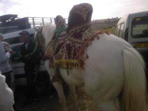 Ta3m Yassoul djemaa Ouled Cheikh