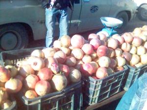 ta3m sidi belgacem djemaa ouled cheikh