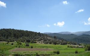 بولزلزن يابوس