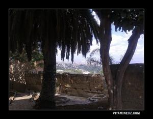 Vue panoramique sur Tlemcen Est, à partir de Dar Essoltane