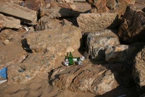 قارورات الخمر في شاطئ البئر ببني صاف