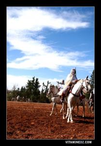 Cavalier des Wlad Enhar à Sidi El Jilali