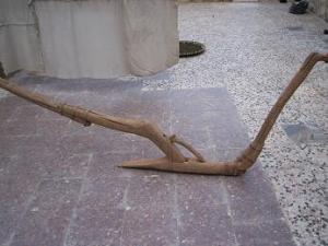 يابوس بلدية جبلية الفلاحة بها صعبة .