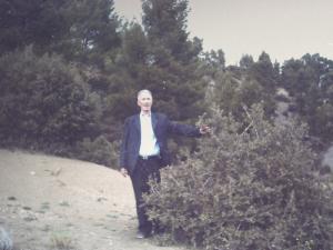 paysage à chaabet khaled ---yabous