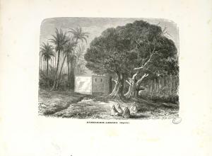 Hammam boughrara en 1862